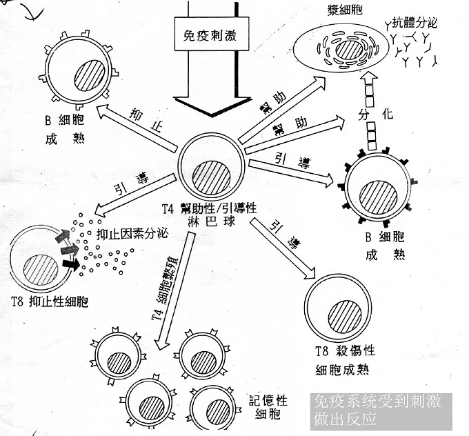 一把霸氣劍型符號(hào)