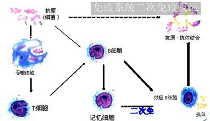 電視機亮度閃爍